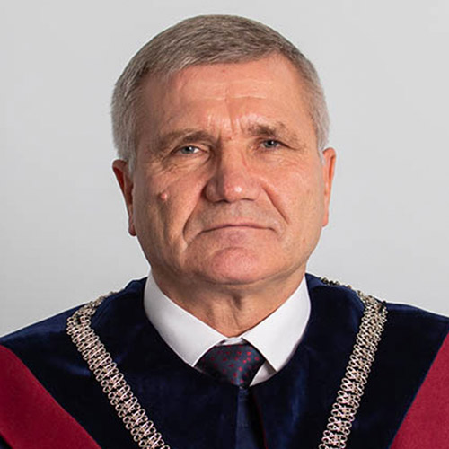 Profile: Nicolae Rosca